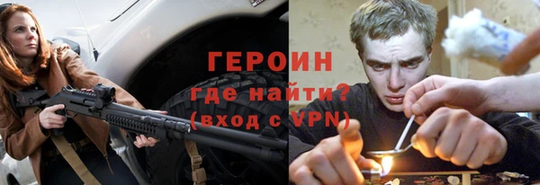 амф Тайга