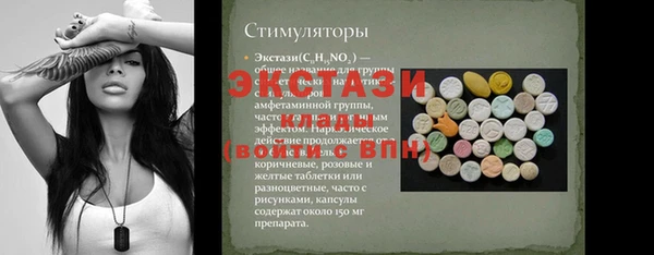 амф Тайга