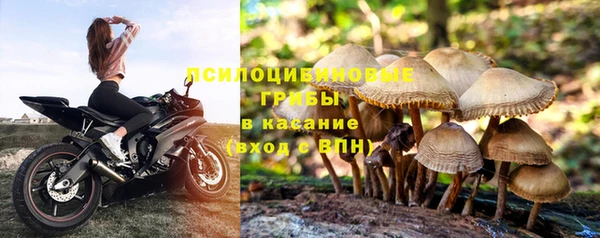 мдпв Струнино