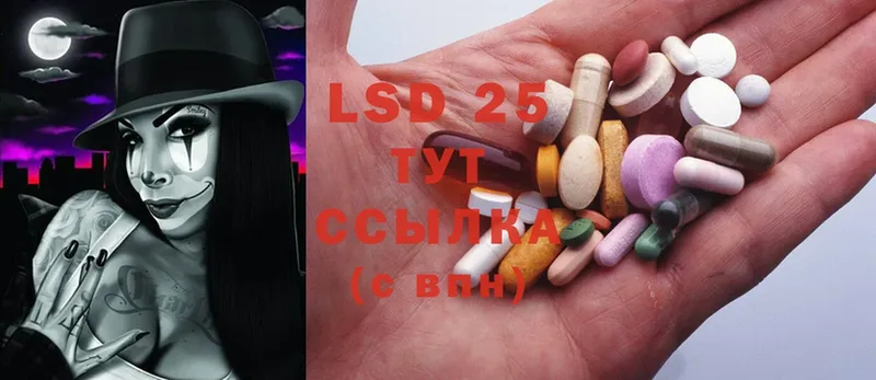 как найти   Орёл  LSD-25 экстази ecstasy 