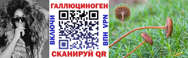 как найти закладки Орёл Галлюциногенные грибы Cubensis