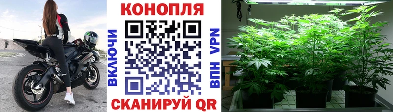 Бошки Шишки индика  сколько стоит  Орёл 